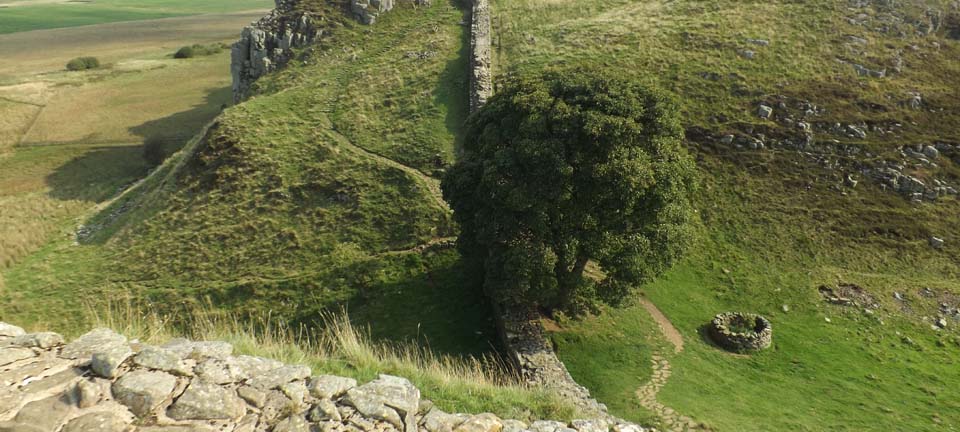 Sycamore Gap Hadrians Wall image