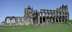 Whitby Abbey image
